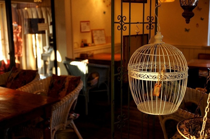 茨城・県北　大子町のカフェでランチなら、cafe restaurant FRAMBOISE