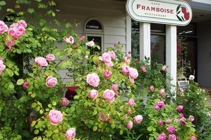 茨城・県北　大子町のカフェでランチなら、cafe restaurant FRAMBOISE　メニュー