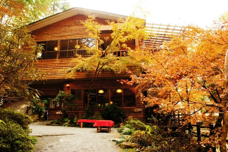 月待ちの滝　もみじ苑