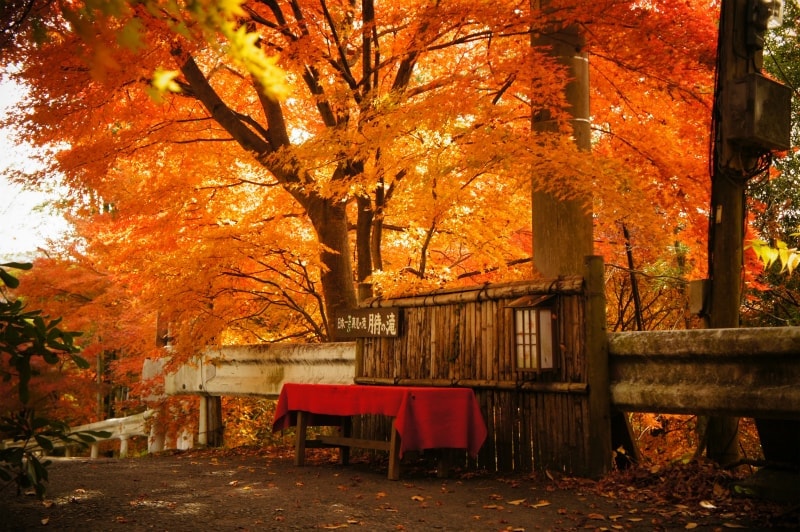 月待ちの滝　もみじ苑