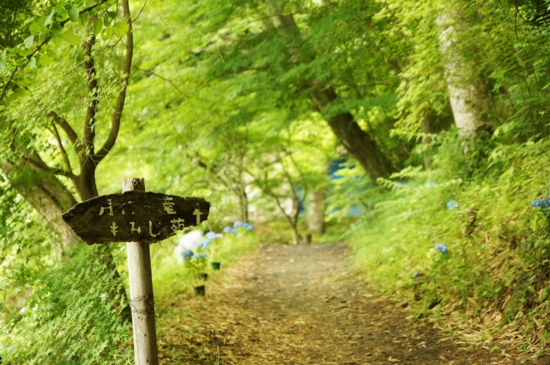 月待の滝　もみじ苑