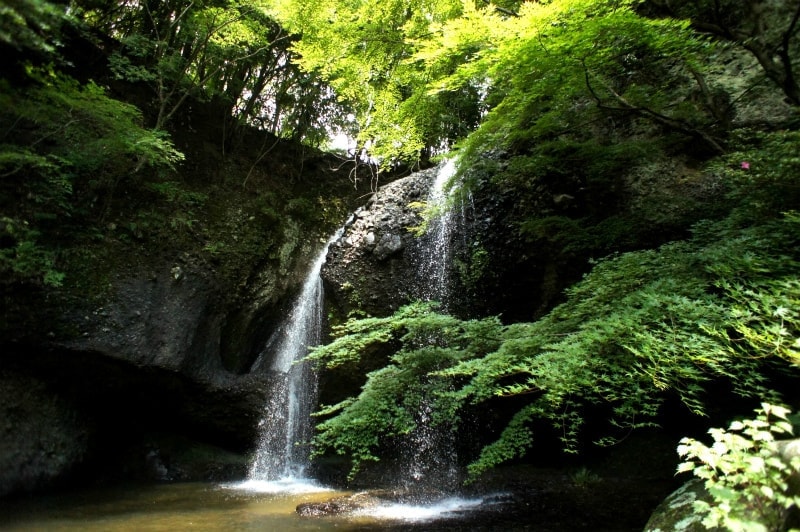 月待の滝　もみじ苑